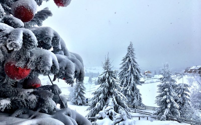 Zapadă în munţii Clujului. La Băişoara se pregăteşte pârtia de ski