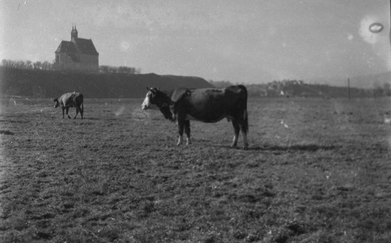 A fost odată în Mănăştur, la 1925. În plan îndepărtat, cea mai veche clădire din România