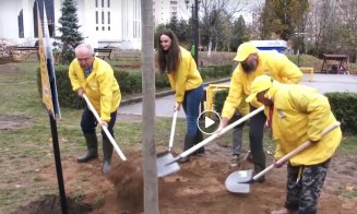 Primăria lui Boc și-a prezentat realizările din 2019 într-un video pe Facebook