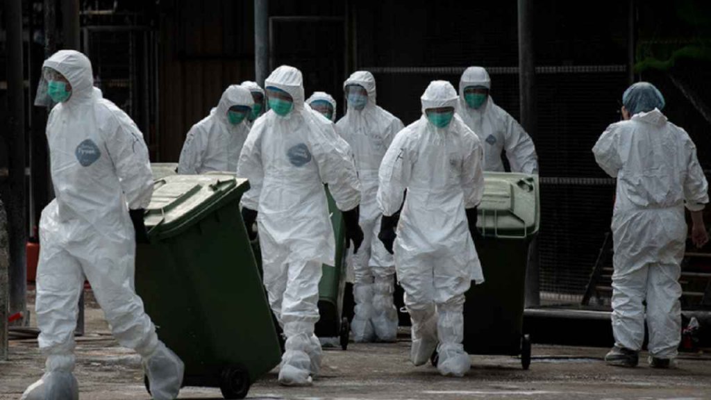 Noi focare de gripă aviară în Europa. Virusul H5N8, un subtip înalt patogen, care ar putea reprezenta un risc şi pentru om