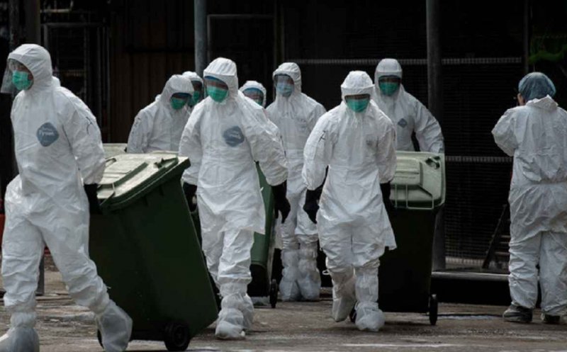 Noi focare de gripă aviară în Europa. Virusul H5N8, un subtip înalt patogen, care ar putea reprezenta un risc şi pentru om