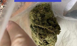 Cel mai consumat drog din România este cannabisul