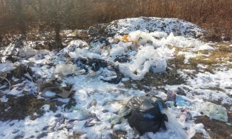Campanie de sesizări pentru curățarea Parcului Est