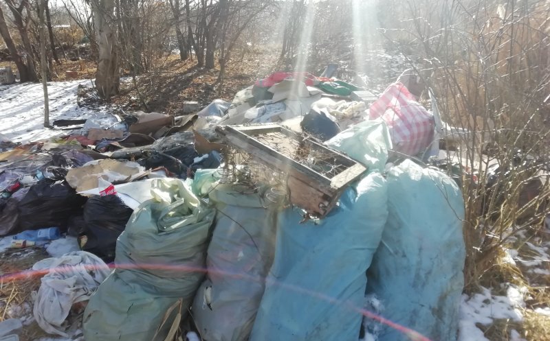 Campanie de sesizări pentru curățarea Parcului Est