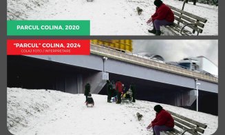 Dohotaru avertizează că Centura Metropolitană ar urma "să taie" Parcul Colina