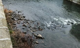 Ce au mai ”pescuit” angajații de la Ape din Someș în zona podului Traian