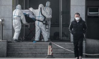 Un nou virus foarte periculos a fost descoperit în China. Autorităţile au sacrificat 18.000 de găini