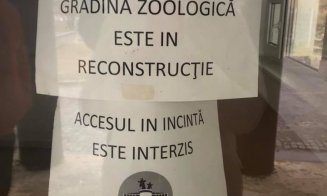 Scandalul cățelușei abuzate sexual ia amploare! Asociaţie pentru protecţia animalelor: "E într-un țarc, afară, în frig!"