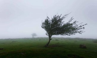 Măsuri excepționale luate în fața fenomenelor meteo, la Cluj