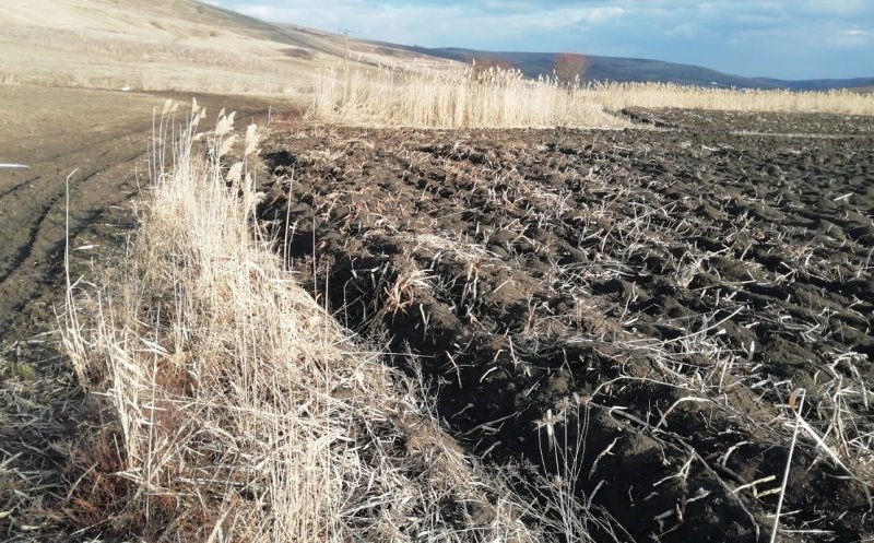 Un clujean reclamă o situaţie inedită: un drum a fost... arat