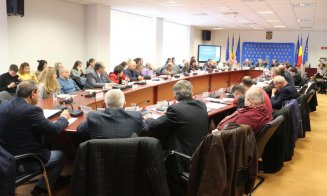 Consilierii județeni dezbat astăzi bugetul Aeroportului Internațional Avram Iancu