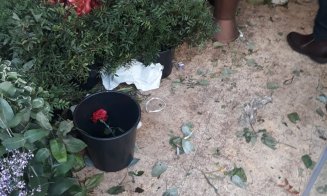 Florarie inchisa de OPC