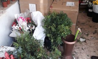 Florarie inchisa de OPC