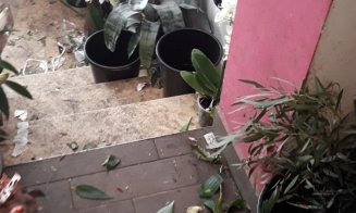 Florarie inchisa de OPC