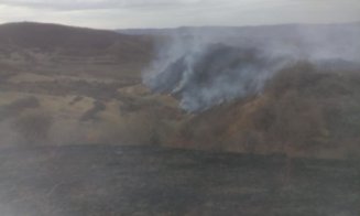 Incendiu vegetatie Tăuți