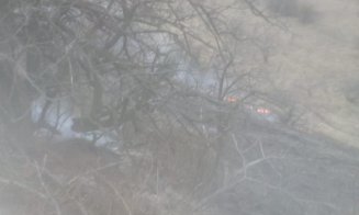 Incendiu vegetatie Tăuți