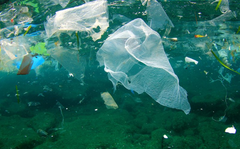 Studiu: câte grame de plastic ajung săptămânal în organismul uman