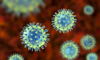 Cercetătorii au descoperit un virus care nu are nicio genă ce poate fi identificată