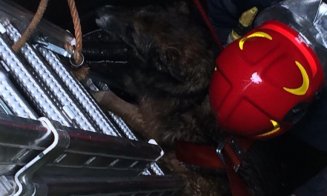 Un pompier a coborât 7m într-o fântână ca să salveze un câine