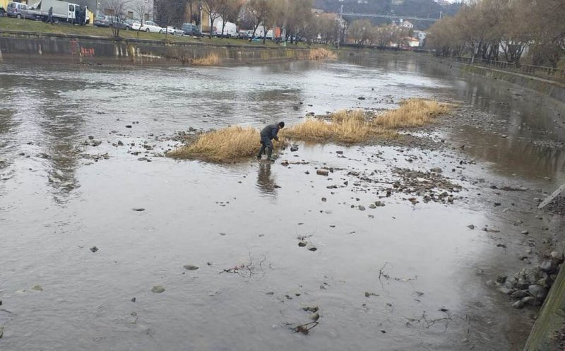 Se curăță albia Someșului între Pod Garibaldi și Pod Napoca