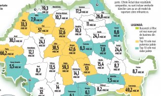 Firmele Clujului au afaceri anuale de 12 miliarde de euro