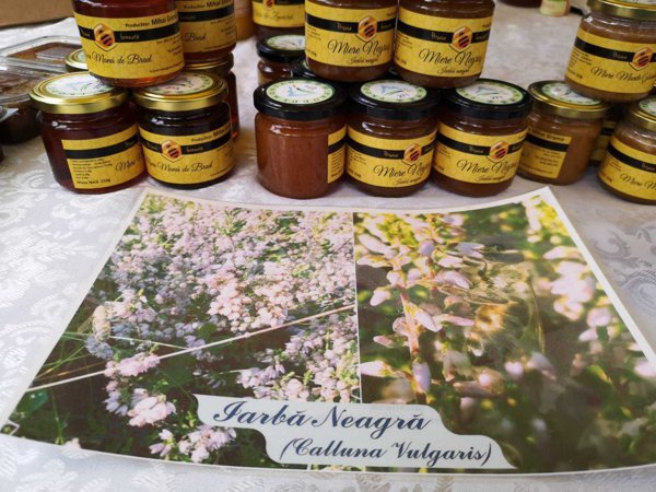 Ziua de Cluj | Miere rară, cu proprietăţi curative, produsă de un apicultor  clujean