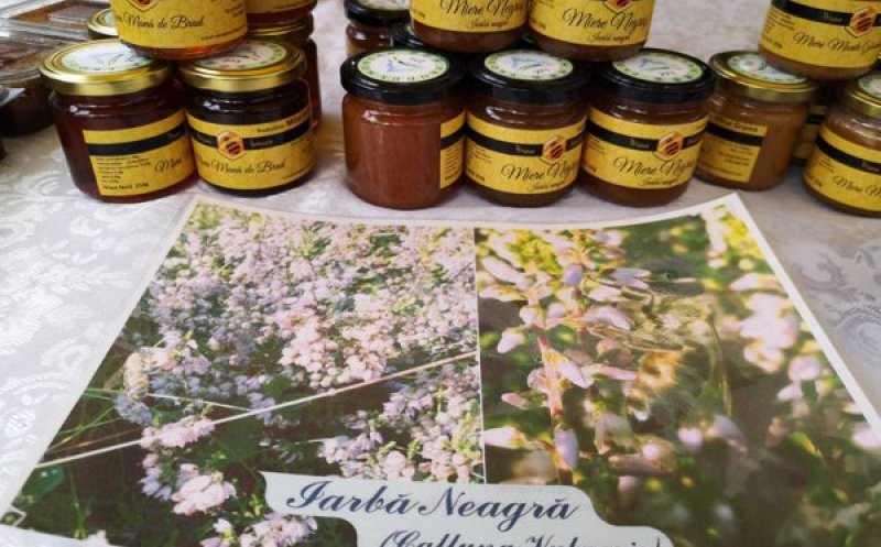 Ziua de Cluj | Miere rară, cu proprietăţi curative, produsă de un apicultor  clujean