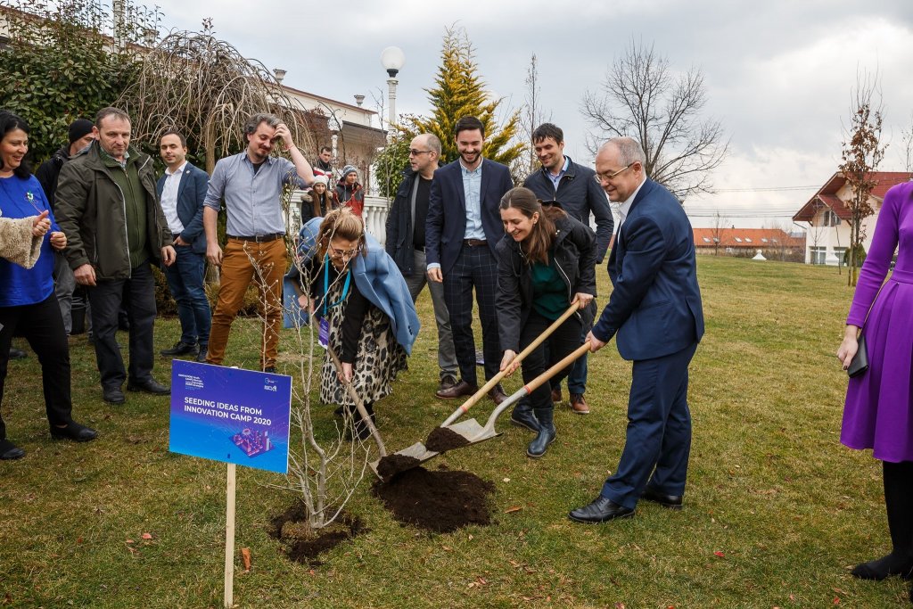 4 copaci pentru 4 idei, la finalul Innovation Camp