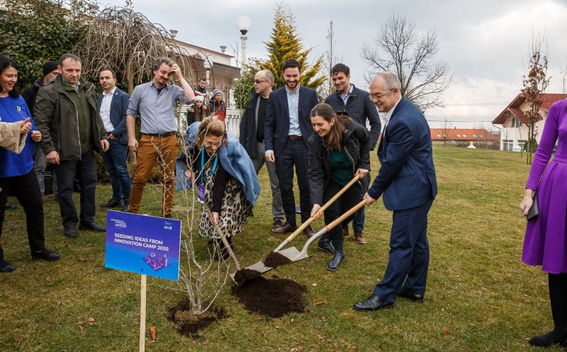 4 copaci pentru 4 idei, la finalul Innovation Camp