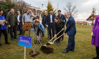 4 copaci pentru 4 idei, la finalul Innovation Camp