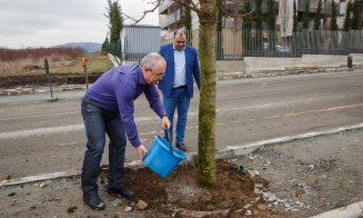 strada Bună Ziua