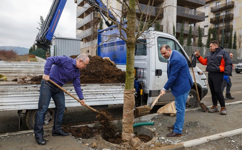 Primarul cu sapa în mână. Emil Boc a ieşit la plantat copaci în Bună Ziua