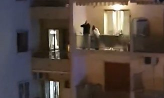 Solidaritatea în vremea Coronavirusului(video)