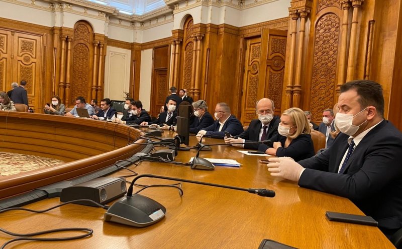 Şedinţe comune online la Parlament pentru întocmirea raportului pe solicitarea privind starea de urgenţă