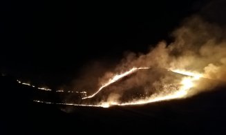 Incendiul din Băișoara a făcut scrum 35 ha de pășune