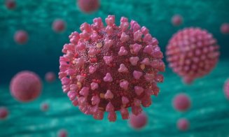 Un studiu medical relevă modul în care sistemul imunitar contribuie la vindecarea de Covid-19
