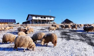 Economistul care s-a izolat voluntar pe lacul Ciurila: “E un sentiment natural în cazul nostru”