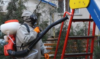 Autorităţile locale încep, de marţi, dezinfectările la blocuri