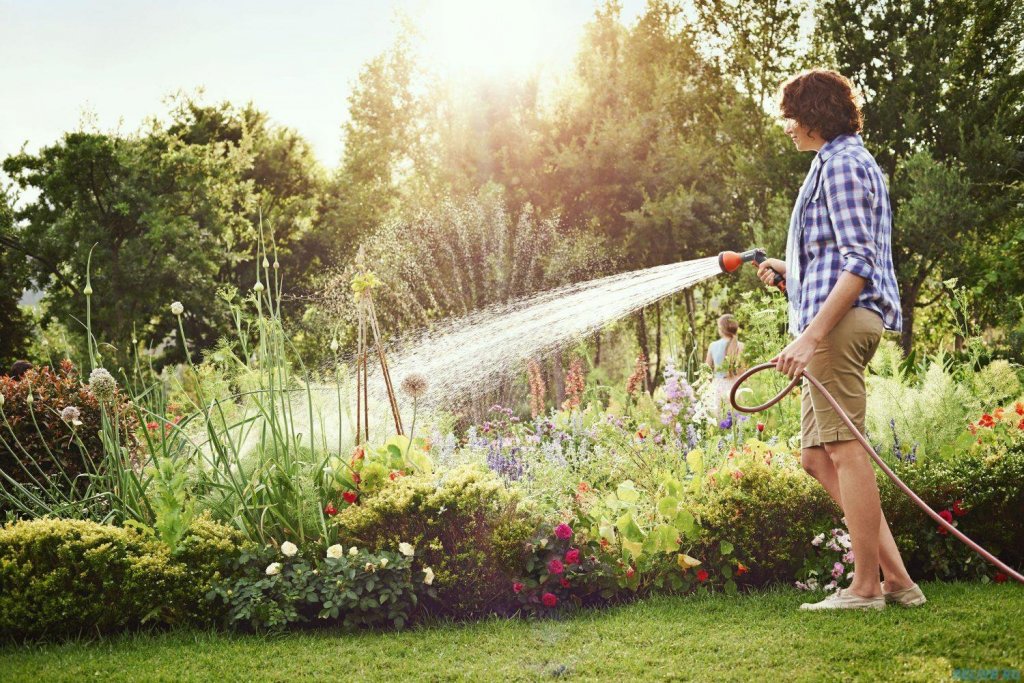 Avertisment de la Compania de Apă Someș: “Nu vă mai udați grădinile cu apa potabilă!”