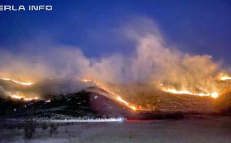 Incendiu uriaș lângă Delta Ardealului. Au ars 100 ha de pășune la Sic