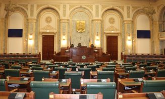 Propunerea legislativă de acordare a unei pensii de urmaş copiilor cadrelor medicale decedate în lupta cu noul coronavirus, pe ordinea de zi a Senatului