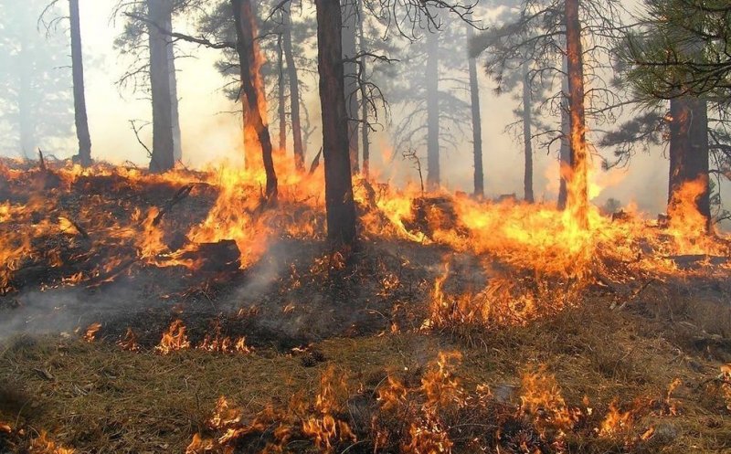 Incendiile de la Cernobîl, risc pentru Europa. România, pe lista zonelor vulnerabile