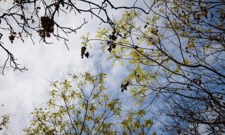 Cum va fi vremea până la jumătatea lunii mai. Temperaturi anormale pentru această perioadă