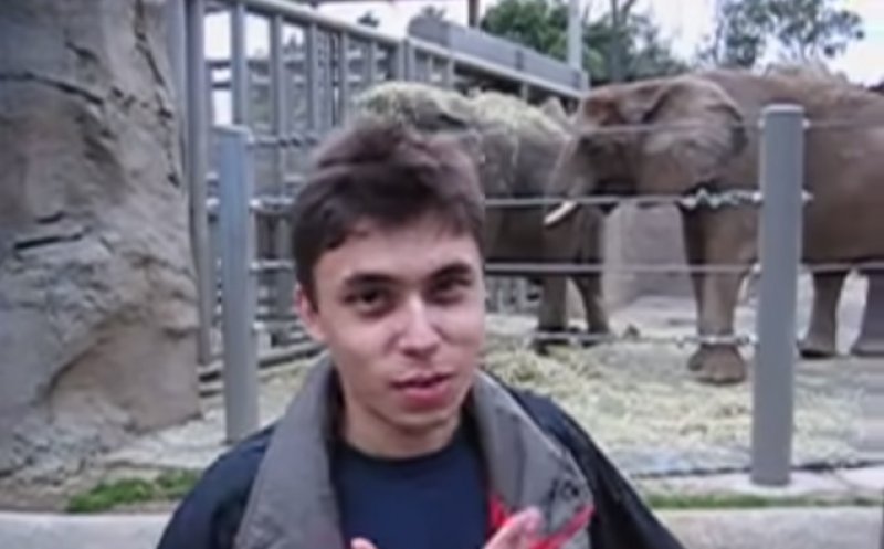 15 ani de la lansarea YouTube: În primul video ”urcat” pe noua platformă apărea chiar fondatorul reţelei