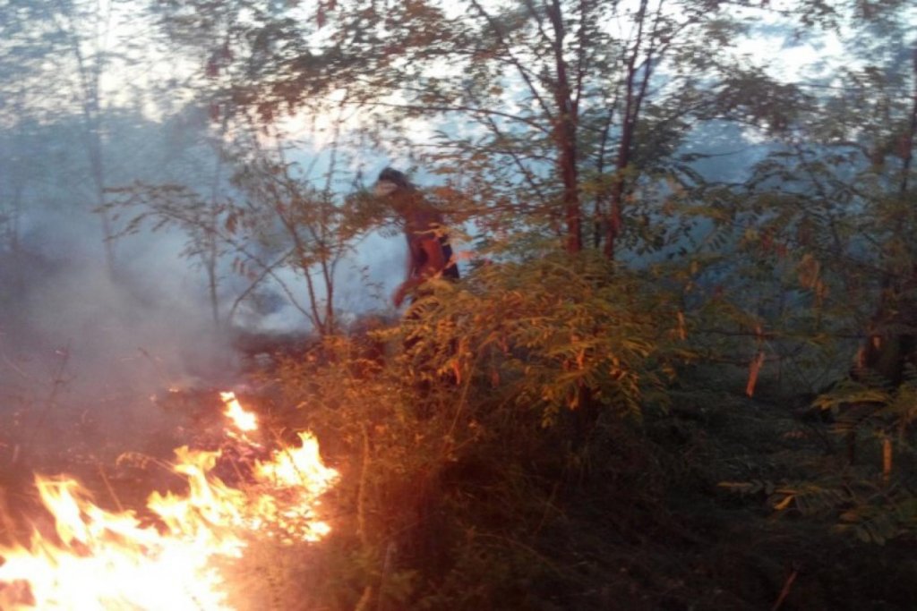 Reguli privind arderea vegetației uscate. Amenzi usturătoare pentru cei care provoacă incendii