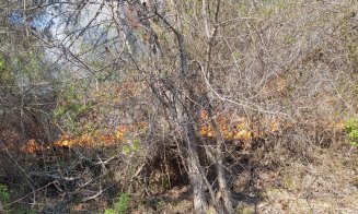 Interventie dificila pentru pompierii din Cluj: incendiu extins la padure de la o ardere de vegetatie si deseuri