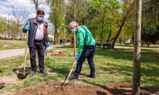 Clujul, oraș verde. Primăria a plantat 900 de arbori în mai multe zone