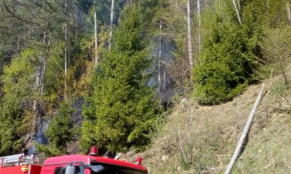 Incendiu într-o pădure din Cluj. Pompierii intervin de câteva ore