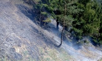 Incendiu într-o pădure din Cluj. Pompierii intervin de câteva ore