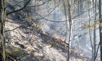 Incendiu într-o pădure din Cluj. Pompierii intervin de câteva ore